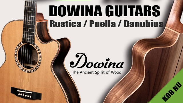 Dowina guitar