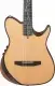 Ibanez TOD100N-NT