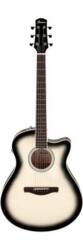 Ibanez AAM370M1CE-TPA