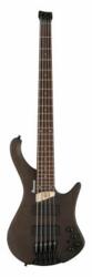 Ibanez EHB605-WNF