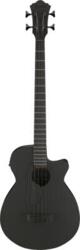 Ibanez AEGB420-BOT
