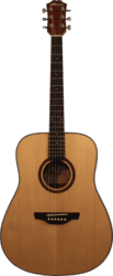 Moss F-888DX western guitar - Solid guitar