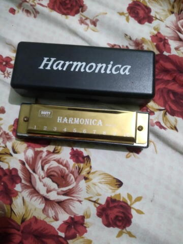 DMTS Harmonica