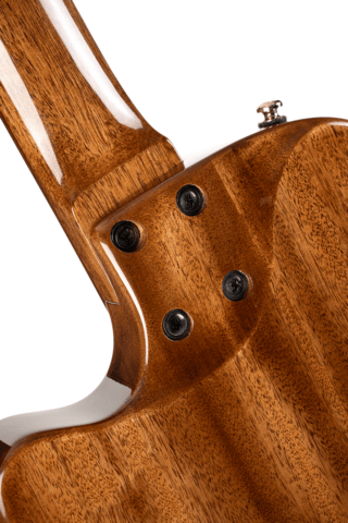 CORT Sunset Nylectric DLX, Nylon, Tobacco Sunburst, Preamp, Gigbag