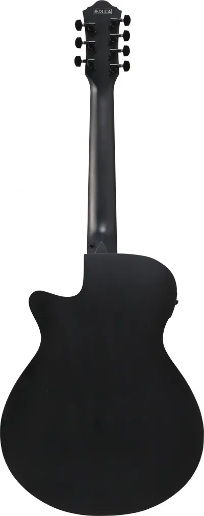 Ibanez AEG721-BOT