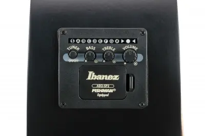 Ibanez AEG721-BOT