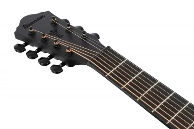 Ibanez AEG721-BOT