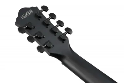 Ibanez AEG721-BOT