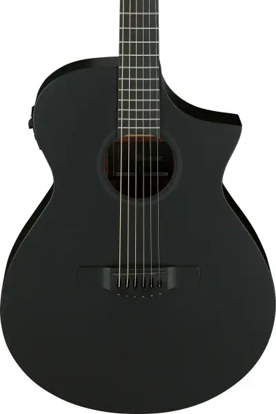 Ibanez AEWC621-BOT