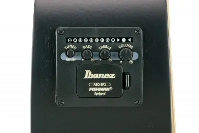 Ibanez AEWC621-BOT