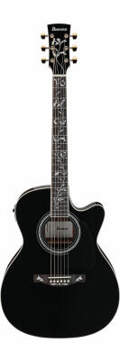 Ibanez AC391RCE-BKH