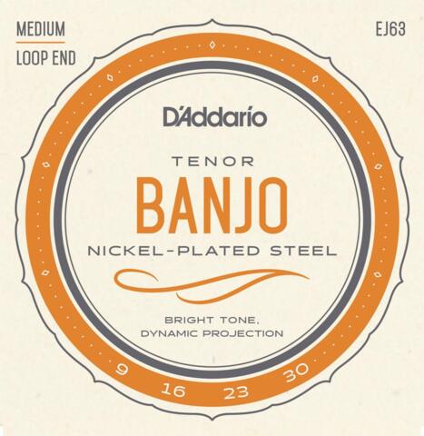 D'Addario Fretted EJ63 Tenor Banjo
