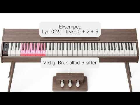 Donner DHP-200 Pro Valnød El-klaver