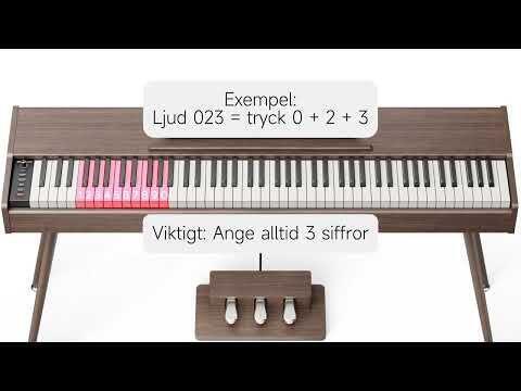 Donner DHP-200 Pro Valnød El-klaver