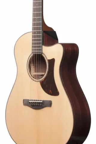 Ibanez AAM380CE-NT