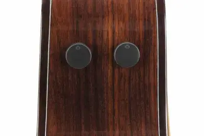Ibanez AAM380CE-NT