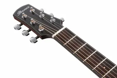 Ibanez AAM380CE-NT