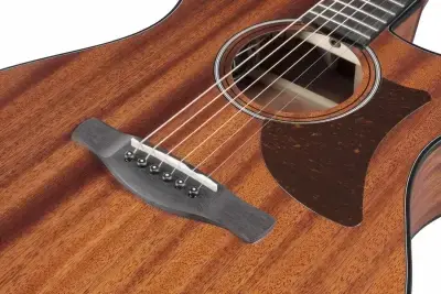 Ibanez AAM54CE-OPN
