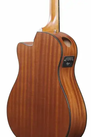 Ibanez AAM54CE-OPN