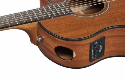 Ibanez AAM54CE-OPN