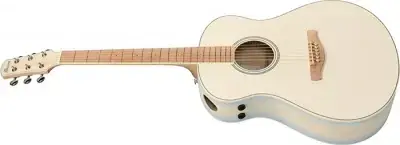 Ibanez AAM370M2E-AIB