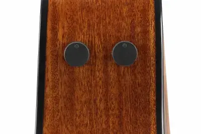 Ibanez AAM300CE-NT Advanced Auditorium