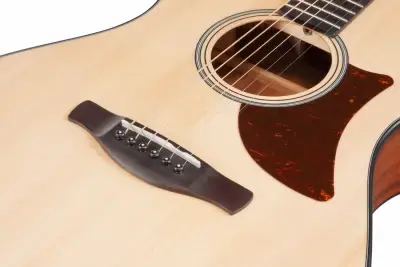 Ibanez AAM50-OPN Advanced Auditorium