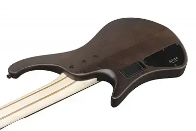 Ibanez EHB605-WNF