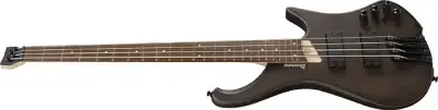Ibanez EHB600-WNF