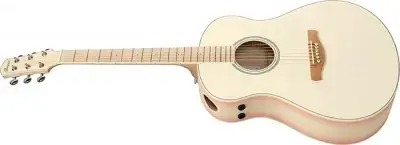 Ibanez AAM370M2E-APF