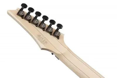Ibanez RG550-BKF RG Genesis Spot Black Flat