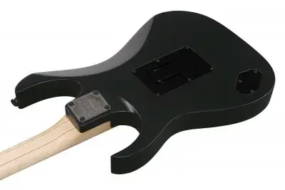 Ibanez RG550-BKF RG Genesis Spot Black Flat