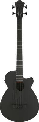 Ibanez AEGB420-BOT