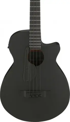 Ibanez AEGB420-BOT