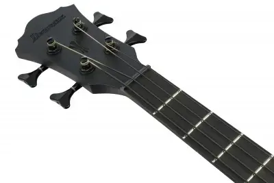 Ibanez AEGB420-BOT
