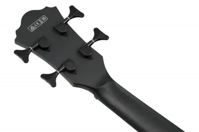 Ibanez AEGB420-BOT