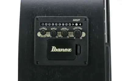 Ibanez AEGB420-BOT