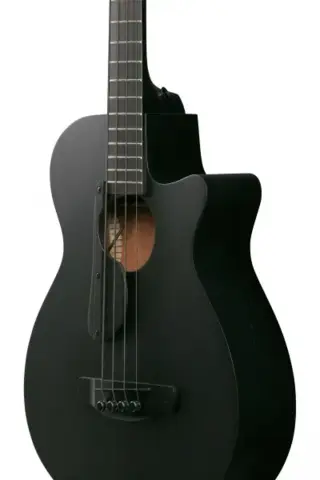 Ibanez AEGB420-BOT
