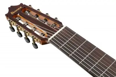 Ibanez GA3008CE-NT