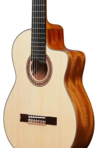 Ibanez GA3007CE-NT