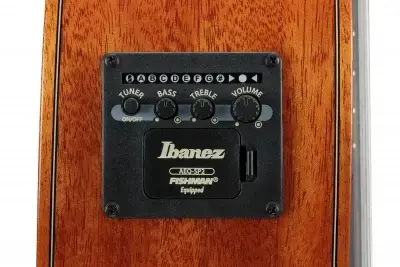 Ibanez GA3007CE-NT