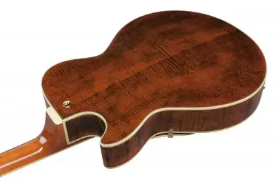 Ibanez AG95MG-DA