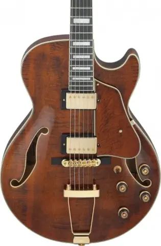 Ibanez AG95MG-DA