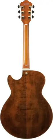 Ibanez AG95MG-DA