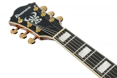 Ibanez AG95MG-DA