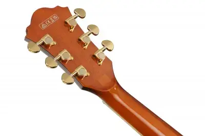 Ibanez AG95MG-DA