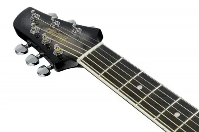Ibanez TCY10PA-BKB
