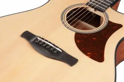 Ibanez AAM50CE-OPN