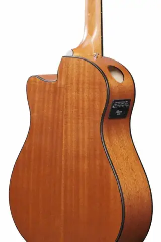 Ibanez AAM50CE-OPN