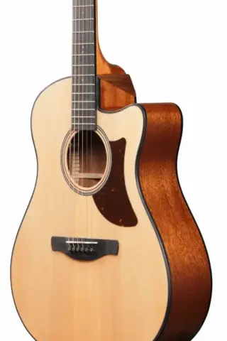 Ibanez AAM50CE-OPN